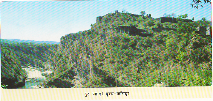 33236_kangra