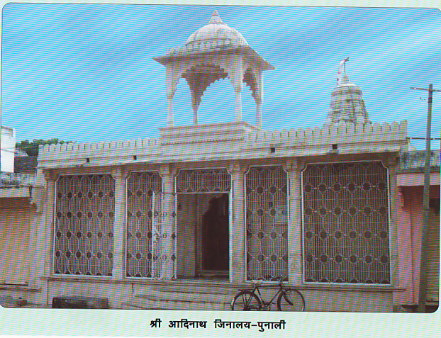 78988_punali
